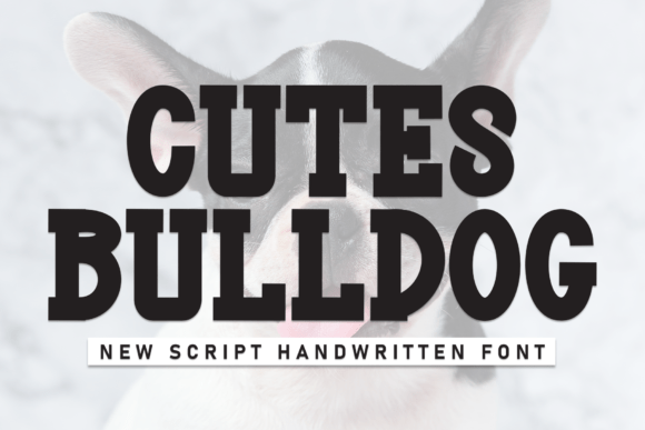 Cutes Bulldog: A Display Font That Makes Your Campaign Instantly Recognizable