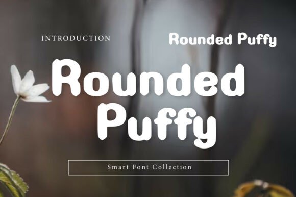 Rounded Puffy: A Friendly Display Font That Lifts Your Brand